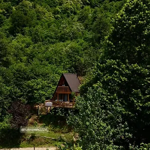  مكان تخييم Thoma's Hut-თომას ქოხი جورجيا